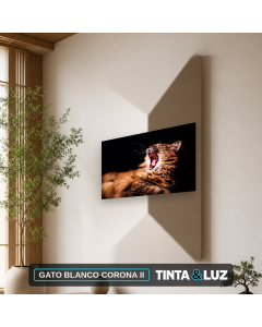 GATO BLANCO CORONA II