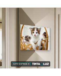 GATO ESFINGE III