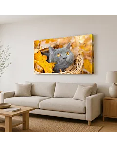 GATITO TIERNO II