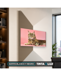 GATITO BLANCO Y NEGRO