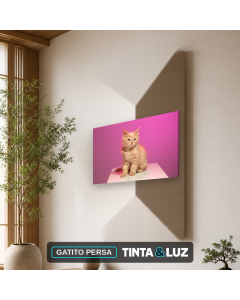 GATITO PERSA