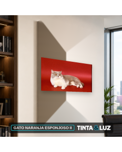 GATO NARANJA ESPONJOSO II