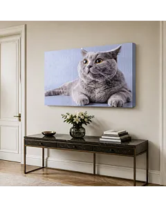 GATO BENGALÍ IV