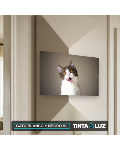 GATO BLANCO Y NEGRO VII