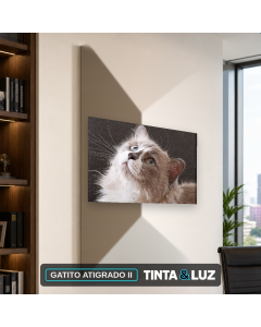 GATITO ATIGRADO II