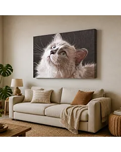 GATITO ATIGRADO II
