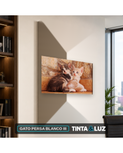 GATO PERSA BLANCO III