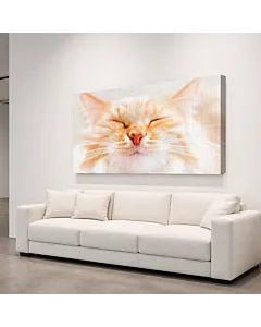 GATITO BLANCO Y NEGRO II