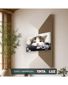 GATO Y MARIPOSA