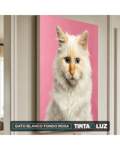 GATO BLANCO FONDO ROSA