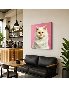 GATO BLANCO FONDO ROSA