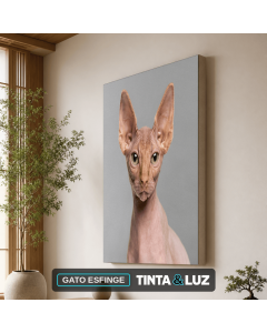 GATO ESFINGE