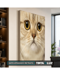 GATO ATIGRADO RETRATO