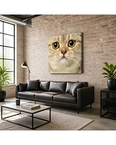 GATO ATIGRADO RETRATO