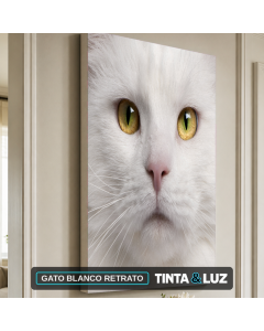 GATO BLANCO RETRATO