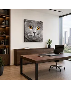 GATO AZUL RUSO
