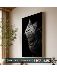 GATO GRIS OJOS VERDES