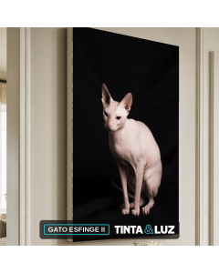 GATO ESFINGE II
