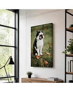 GATO BLANCO Y NEGRO II