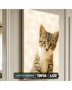 GATITO TIERNO