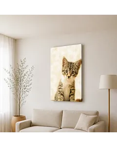 GATITO TIERNO