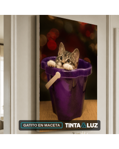 GATITO EN MACETA