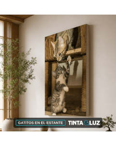 GATITOS EN EL ESTANTE