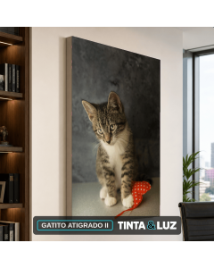 GATITO ATIGRADO II