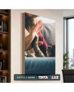 GATITO Y MANO