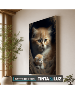 GATITO DE LEÓN