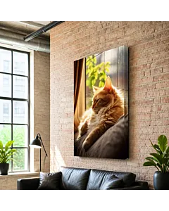 GATO EN LA VENTANA