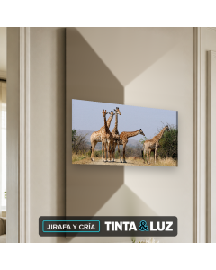 JIRAFA Y CRÍA
