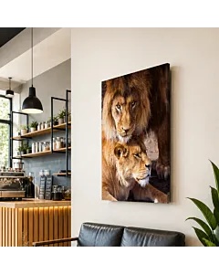 PAREJA DE LEONES
