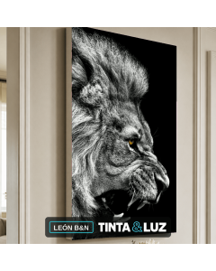 LEÓN B&N