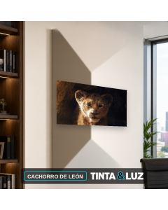 CACHORRO DE LEÓN