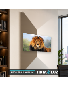 LEÓN EN LA SABANA