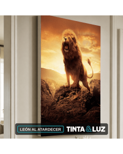 LEÓN AL ATARDECER