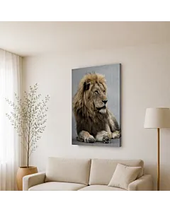 LEÓN MAJESTUOSO II