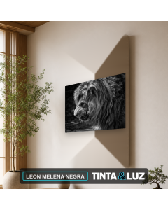 LEÓN MELENA NEGRA
