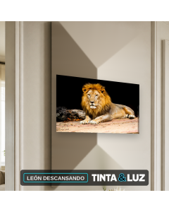 LEÓN DESCANSANDO