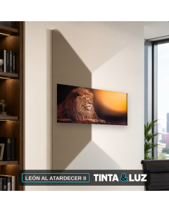 LEÓN AL ATARDECER II