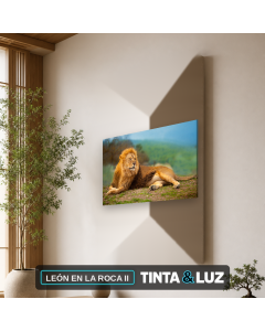 LEÓN EN LA ROCA II