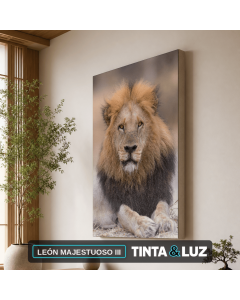 LEÓN MAJESTUOSO III