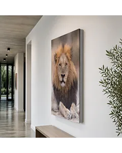 LEÓN MAJESTUOSO III