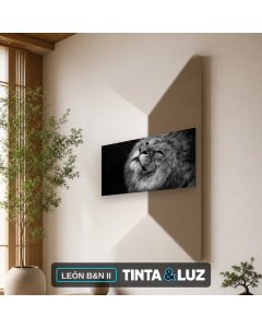 LEÓN B&N II