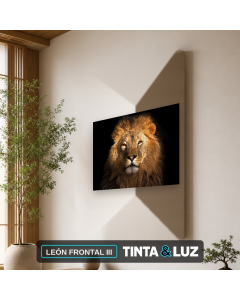 LEÓN FRONTAL III