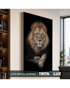 LEÓN MIRADA INTENSA