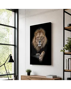 LEÓN MIRADA INTENSA