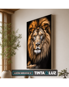 LEÓN MIRADA V