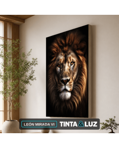 LEÓN MIRADA VI